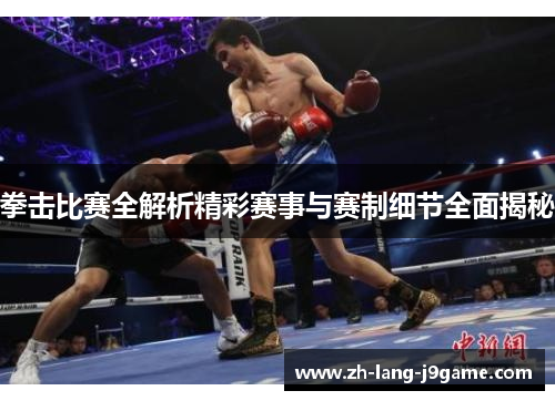拳击比赛全解析精彩赛事与赛制细节全面揭秘
