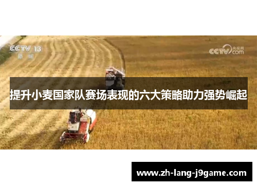 提升小麦国家队赛场表现的六大策略助力强势崛起