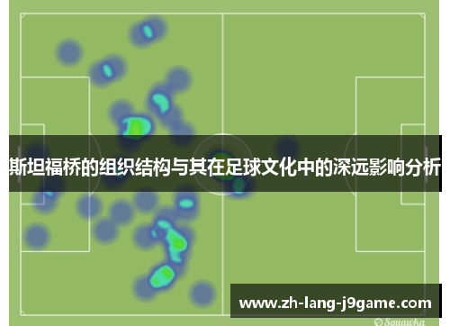 斯坦福桥的组织结构与其在足球文化中的深远影响分析