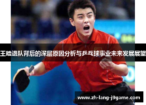 王皓退队背后的深层原因分析与乒乓球事业未来发展展望 王皓退队背后的深层原因分析与乒乓球事业未来发展展望