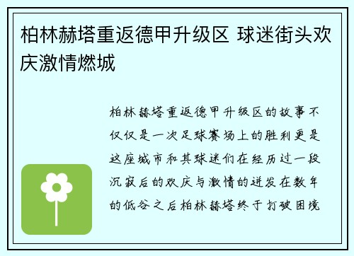 柏林赫塔重返德甲升级区 球迷街头欢庆激情燃城